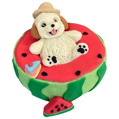 3D Watermelon Cake with Custom Topper